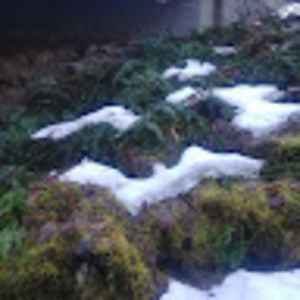 Meet your Posher, Lucy